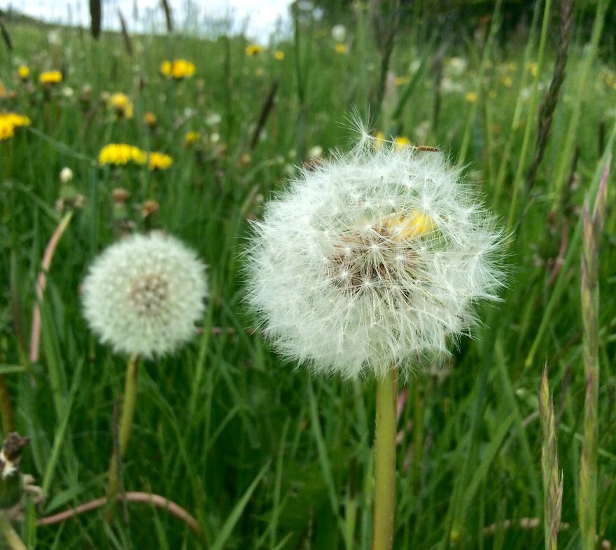 People, Places And Things People, Places And Things