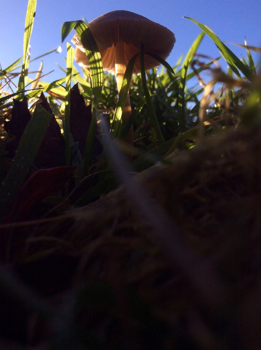 People, Places And Things People, Places And Things