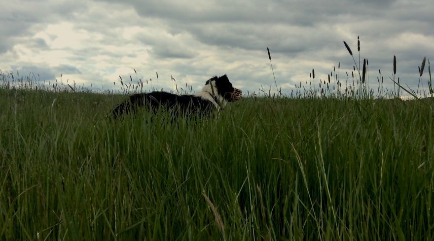 People, Places And Things People, Places And Things