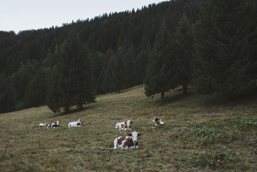 Tour Du Mont Blanc: Strolling At The Edge Of The World Tour Du Mont Blanc: Strolling At The Edge Of The World