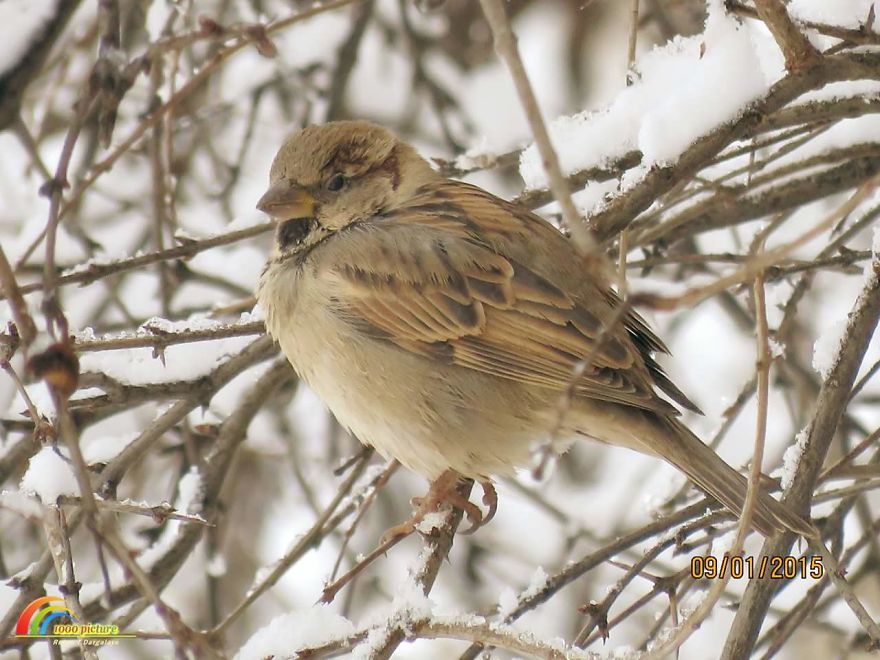 Photographer Captures The Distinct Beauty Of Natually Colorful Birds