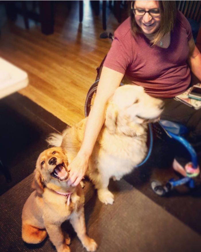 Hey, Pandas! Share The Cutest Pic Of Your Doggo When It Was Still A Pupper Hey, Pandas! Share The Cutest Pic Of Your Doggo When It Was Still A Pupper