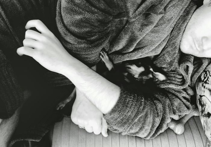 Hey, Pandas! Share The Cutest Pic Of Your Doggo When It Was Still A Pupper Hey, Pandas! Share The Cutest Pic Of Your Doggo When It Was Still A Pupper