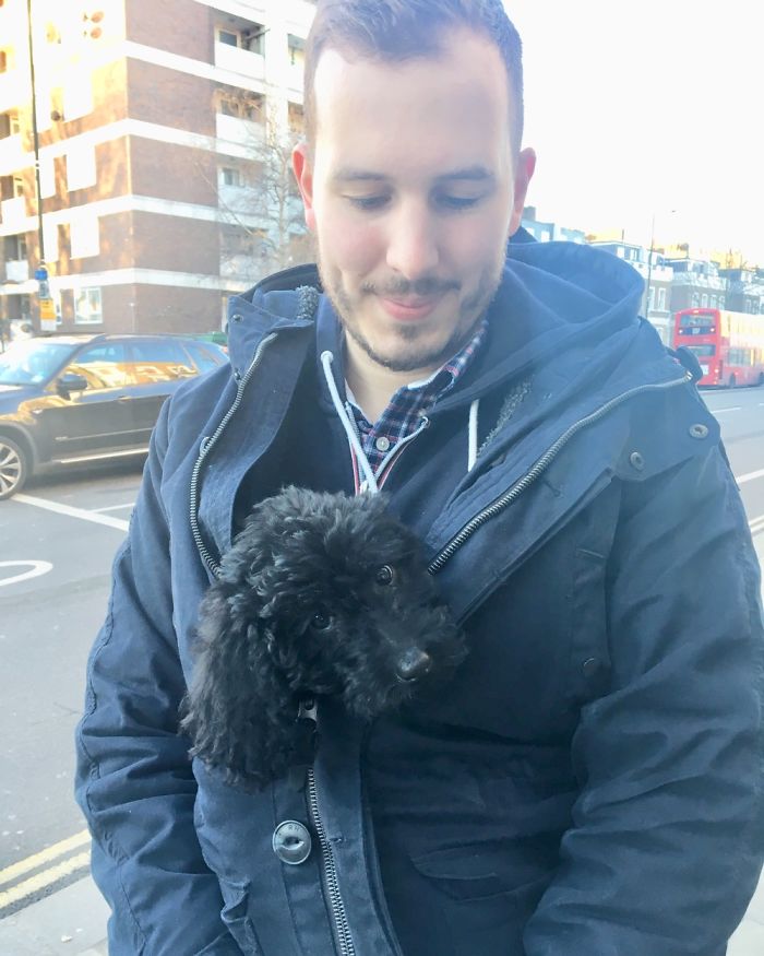 Hey, Pandas! Share The Cutest Pic Of Your Doggo When It Was Still A Pupper Hey, Pandas! Share The Cutest Pic Of Your Doggo When It Was Still A Pupper