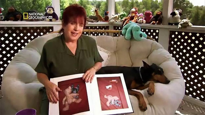 140 Of The Most Unbelievably Smart Things Pets Have Done That Surprised Their Owners 140 Of The Most Unbelievably Smart Things Pets Have Done That Surprised Their Owners