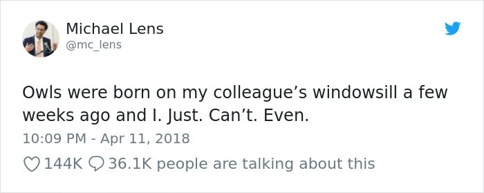 The Internet Can’t Stop Laughing At These Owls Who Were Born Outside Of Office Window And Now Do This The Internet Can’t Stop Laughing At These Owls Who Were Born Outside Of Office Window And Now Do This