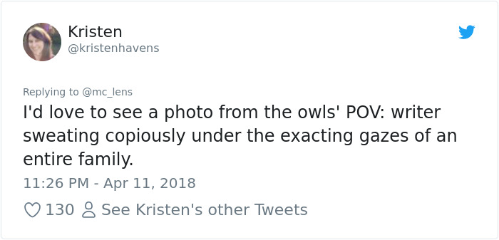 The Internet Can’t Stop Laughing At These Owls Who Were Born Outside Of Office Window And Now Do This The Internet Can’t Stop Laughing At These Owls Who Were Born Outside Of Office Window And Now Do This