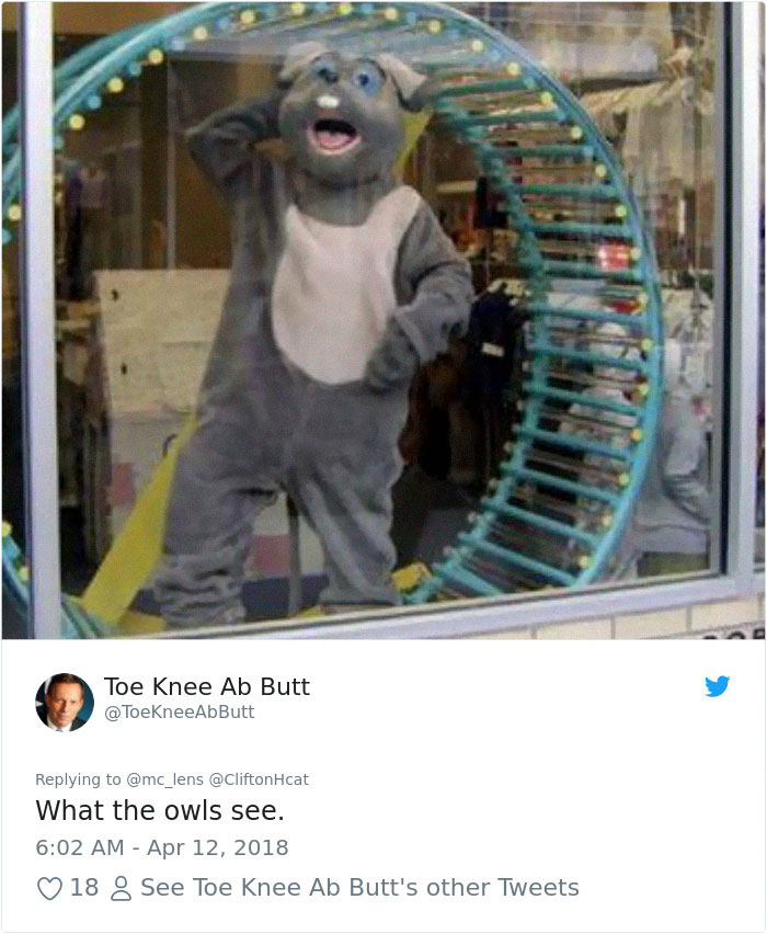 The Internet Can’t Stop Laughing At These Owls Who Were Born Outside Of Office Window And Now Do This The Internet Can’t Stop Laughing At These Owls Who Were Born Outside Of Office Window And Now Do This