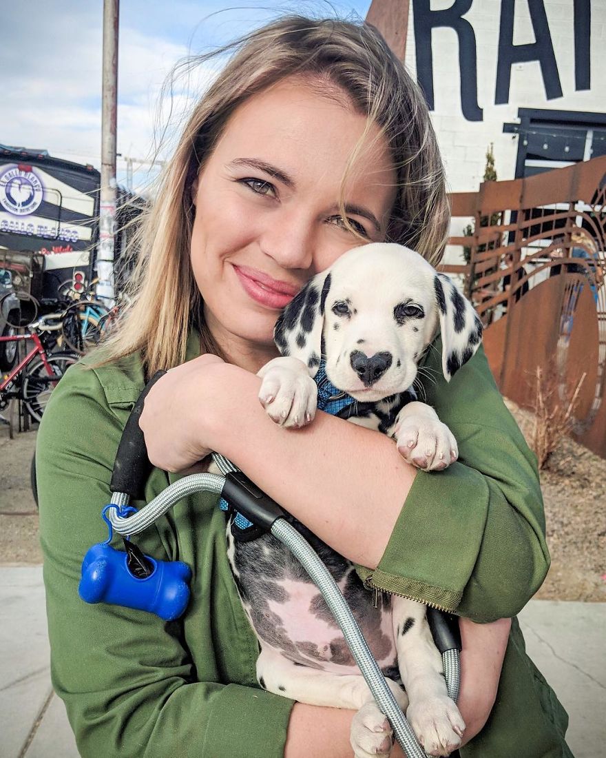 This Adorable Puppy Is Stealing Everyone’s Hearts, And It’s Obvious Why This Adorable Puppy Is Stealing Everyone’s Hearts, And It’s Obvious Why