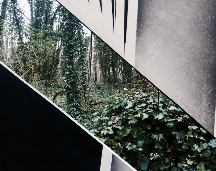 Suspended Wood Installation &#8216;Nature Of Choice&#8217;