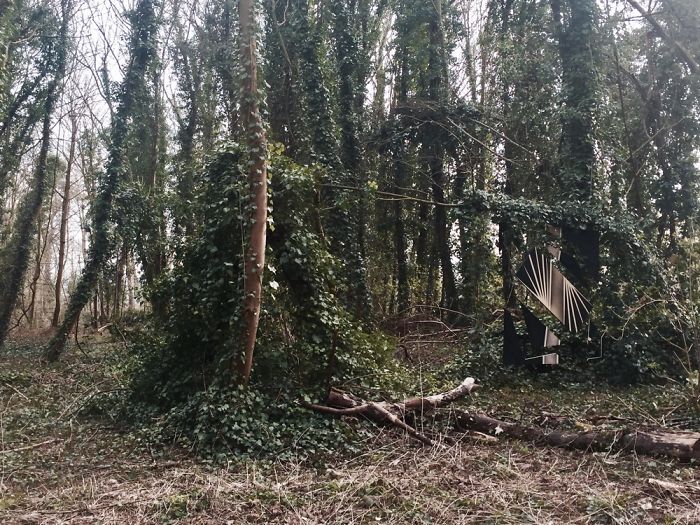 Suspended Wood Installation ‘Nature Of Choice’ Suspended Wood Installation ‘Nature Of Choice’