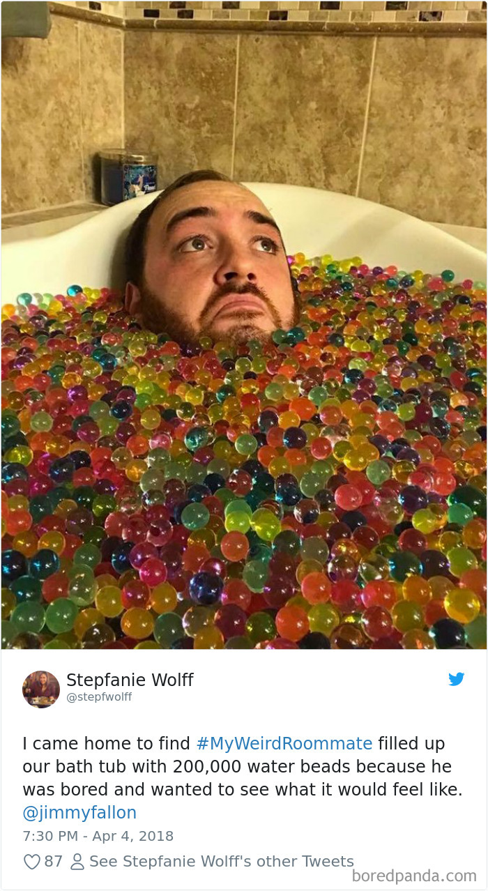 302 Weirdest Roommates That Are Impossible Not To Laugh At&#8230; Or Live With