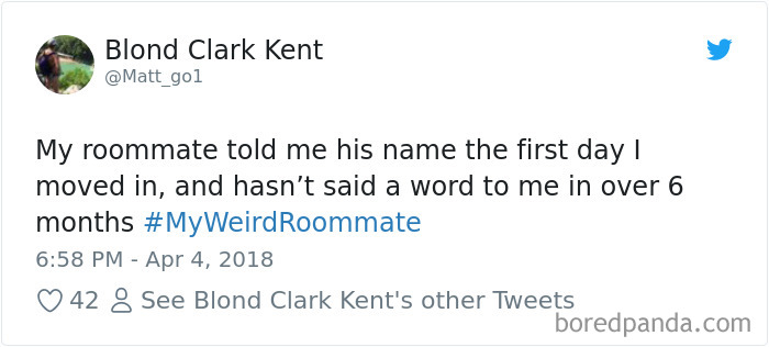 302 Weirdest Roommates That Are Impossible Not To Laugh At&#8230; Or Live With