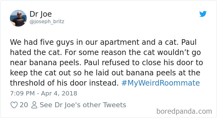 302 Weirdest Roommates That Are Impossible Not To Laugh At&#8230; Or Live With