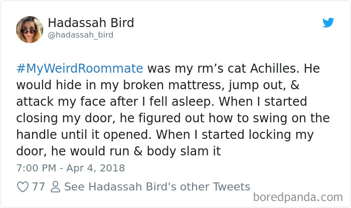 302 Weirdest Roommates That Are Impossible Not To Laugh At&#8230; Or Live With