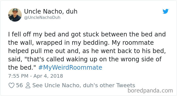 302 Weirdest Roommates That Are Impossible Not To Laugh At&#8230; Or Live With