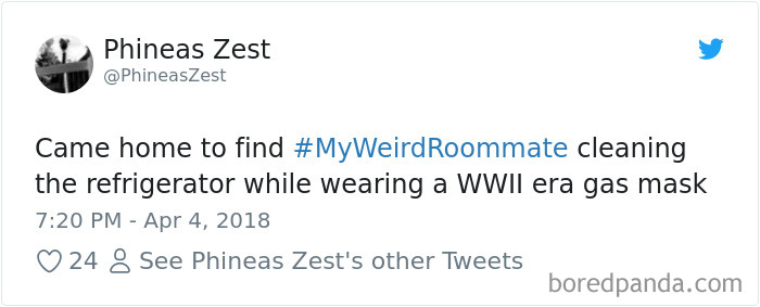 302 Weirdest Roommates That Are Impossible Not To Laugh At&#8230; Or Live With