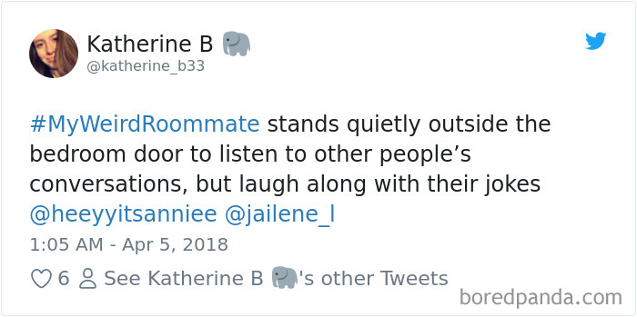 302 Weirdest Roommates That Are Impossible Not To Laugh At&#8230; Or Live With