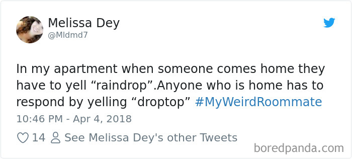 302 Weirdest Roommates That Are Impossible Not To Laugh At&#8230; Or Live With