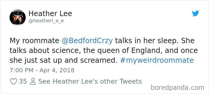 302 Weirdest Roommates That Are Impossible Not To Laugh At&#8230; Or Live With