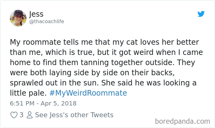 302 Weirdest Roommates That Are Impossible Not To Laugh At&#8230; Or Live With