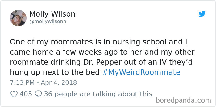302 Weirdest Roommates That Are Impossible Not To Laugh At&#8230; Or Live With