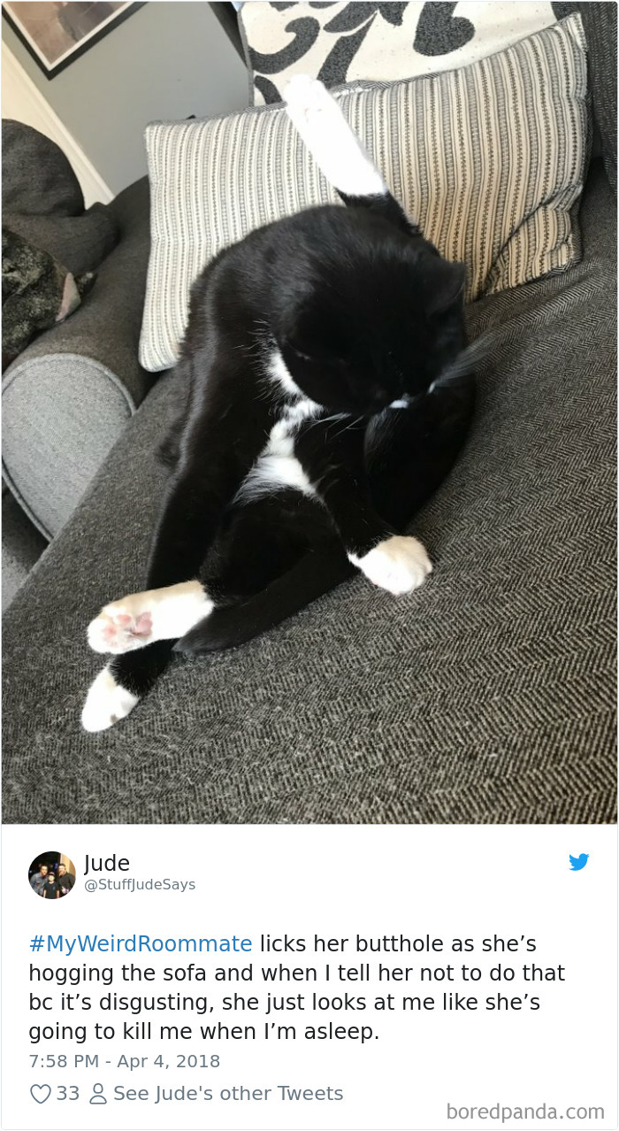 302 Weirdest Roommates That Are Impossible Not To Laugh At&#8230; Or Live With