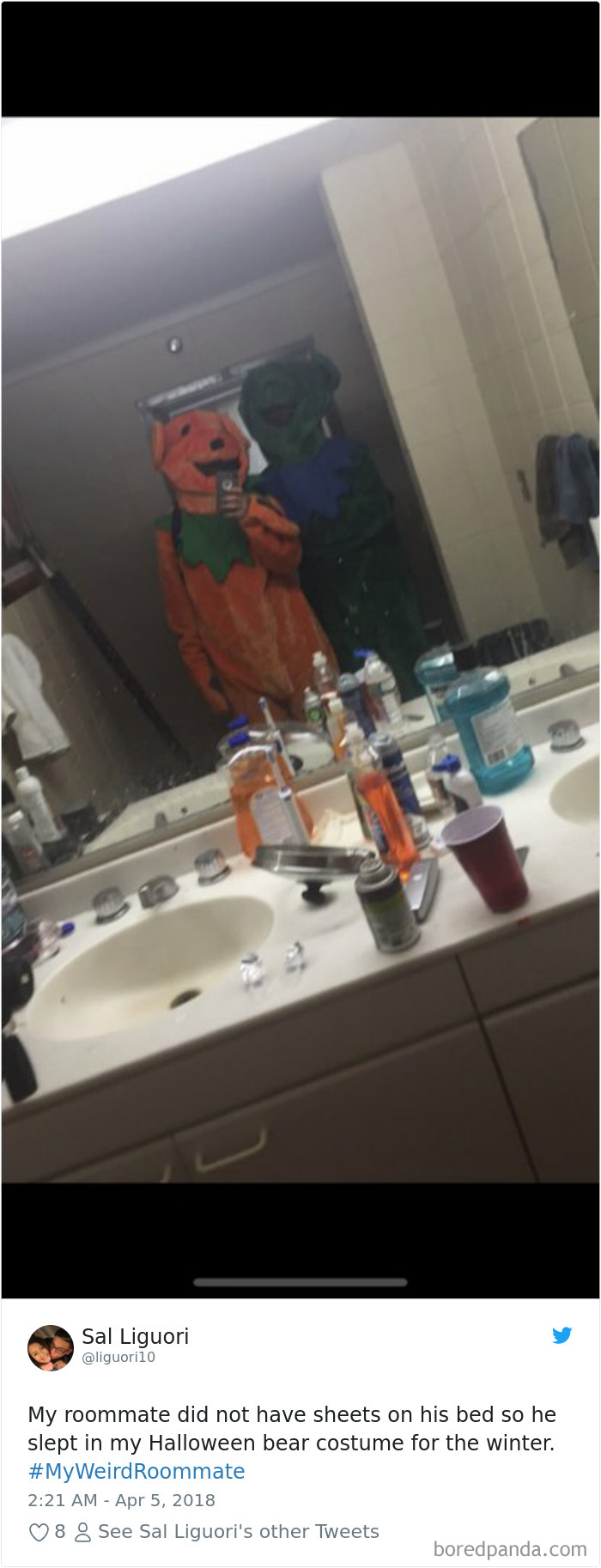 302 Weirdest Roommates That Are Impossible Not To Laugh At&#8230; Or Live With