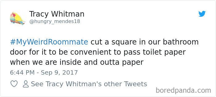 302 Weirdest Roommates That Are Impossible Not To Laugh At&#8230; Or Live With