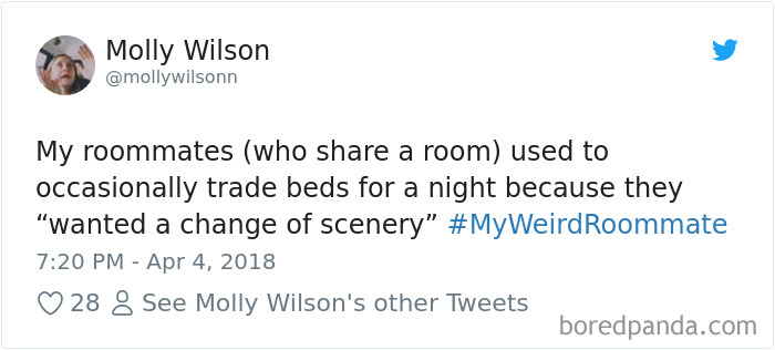 302 Weirdest Roommates That Are Impossible Not To Laugh At&#8230; Or Live With