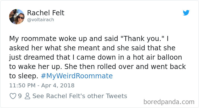 302 Weirdest Roommates That Are Impossible Not To Laugh At&#8230; Or Live With