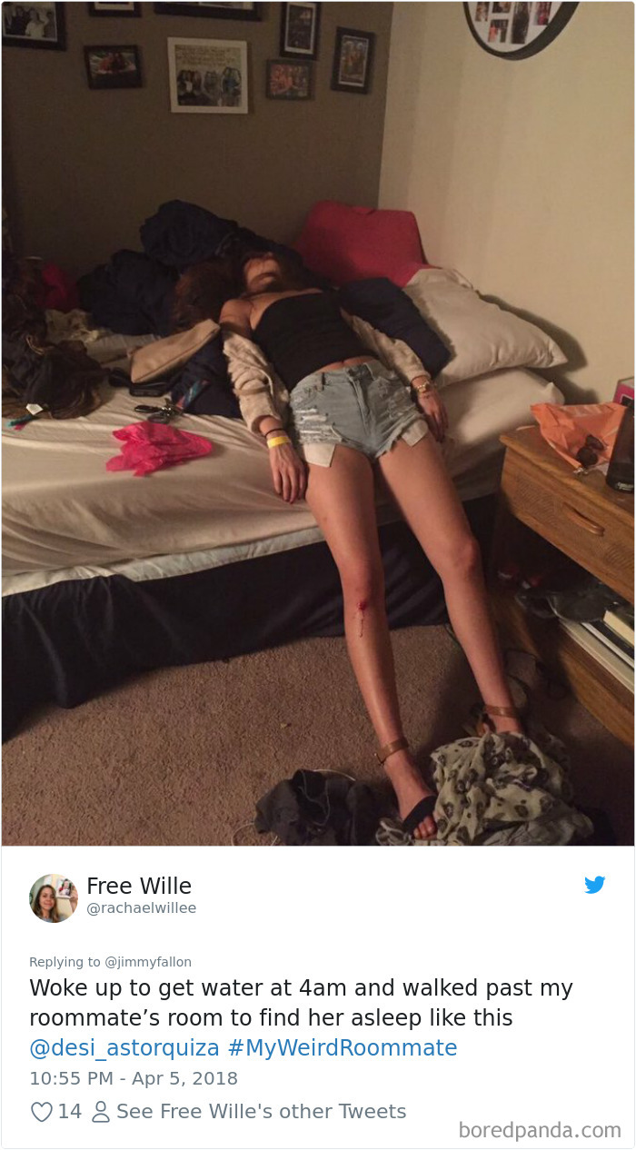302 Weirdest Roommates That Are Impossible Not To Laugh At&#8230; Or Live With