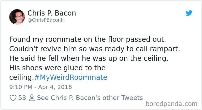 302 Weirdest Roommates That Are Impossible Not To Laugh At&#8230; Or Live With