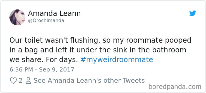 302 Weirdest Roommates That Are Impossible Not To Laugh At&#8230; Or Live With