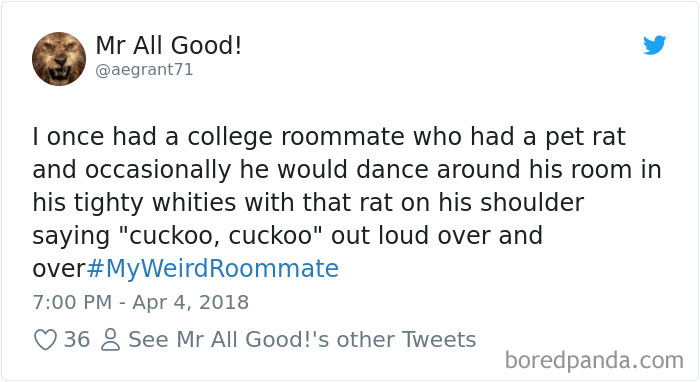 302 Weirdest Roommates That Are Impossible Not To Laugh At&#8230; Or Live With