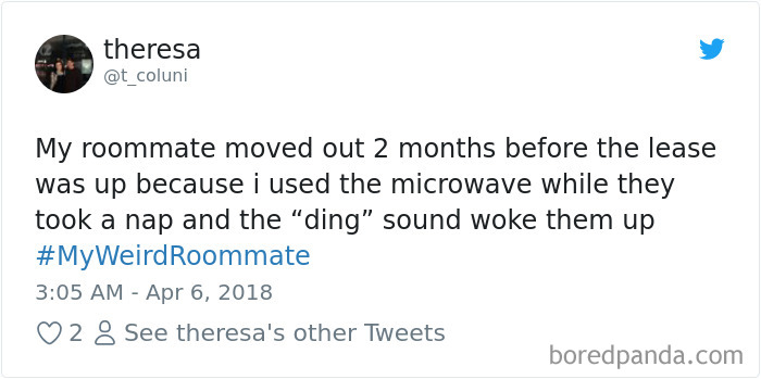 302 Weirdest Roommates That Are Impossible Not To Laugh At&#8230; Or Live With