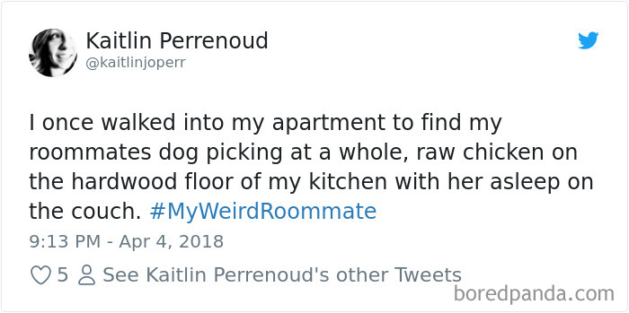 302 Weirdest Roommates That Are Impossible Not To Laugh At&#8230; Or Live With