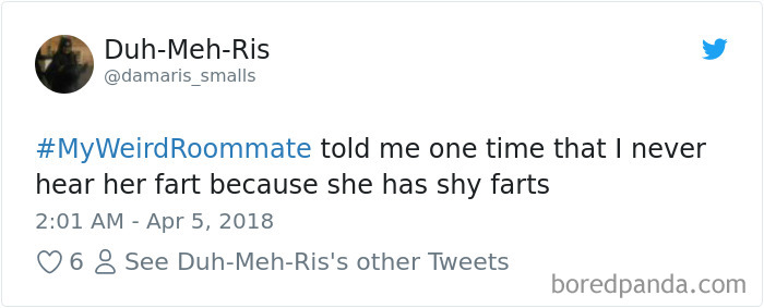 302 Weirdest Roommates That Are Impossible Not To Laugh At&#8230; Or Live With