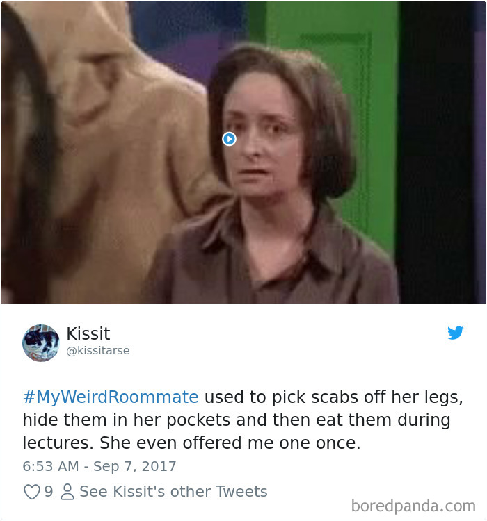 302 Weirdest Roommates That Are Impossible Not To Laugh At&#8230; Or Live With