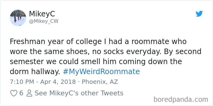 302 Weirdest Roommates That Are Impossible Not To Laugh At&#8230; Or Live With