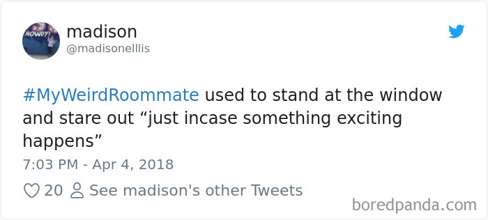 302 Weirdest Roommates That Are Impossible Not To Laugh At&#8230; Or Live With