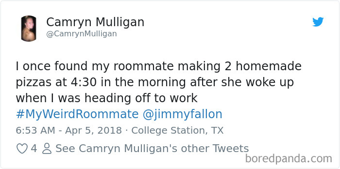 302 Weirdest Roommates That Are Impossible Not To Laugh At&#8230; Or Live With