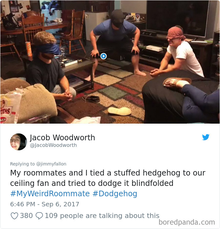 302 Weirdest Roommates That Are Impossible Not To Laugh At&#8230; Or Live With