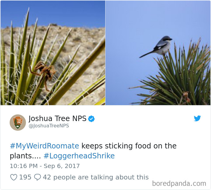 302 Weirdest Roommates That Are Impossible Not To Laugh At&#8230; Or Live With