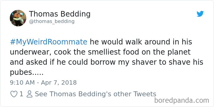 302 Weirdest Roommates That Are Impossible Not To Laugh At&#8230; Or Live With