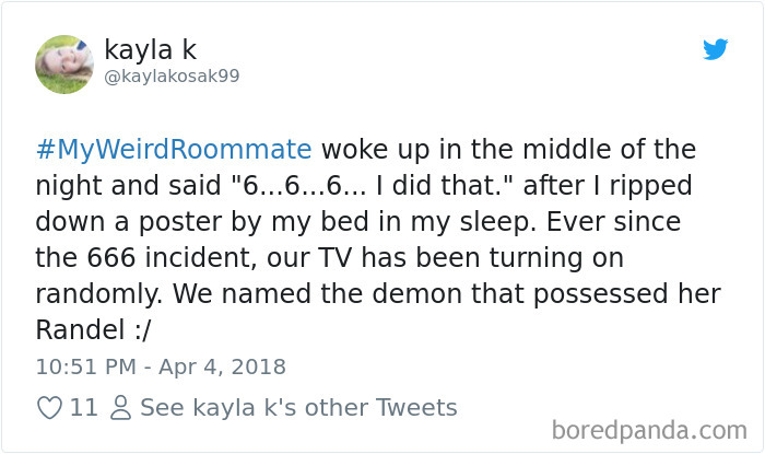 302 Weirdest Roommates That Are Impossible Not To Laugh At&#8230; Or Live With