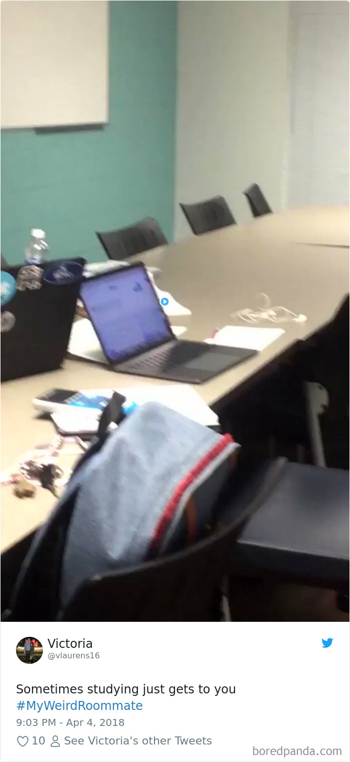 302 Weirdest Roommates That Are Impossible Not To Laugh At&#8230; Or Live With