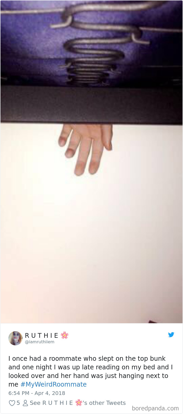 302 Weirdest Roommates That Are Impossible Not To Laugh At&#8230; Or Live With