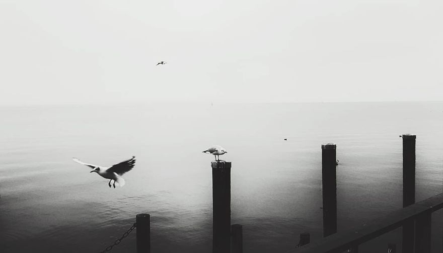 Writer In The Heart Of Exile Writer In The Heart Of Exile