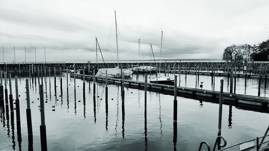 Writer In The Heart Of Exile Writer In The Heart Of Exile